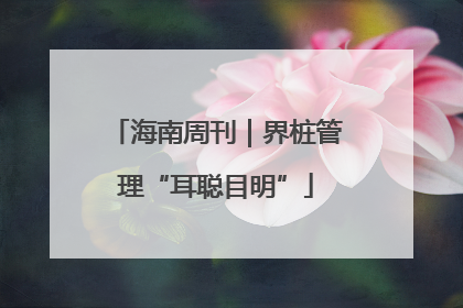海南周刊｜界桩管理“耳聪目明”