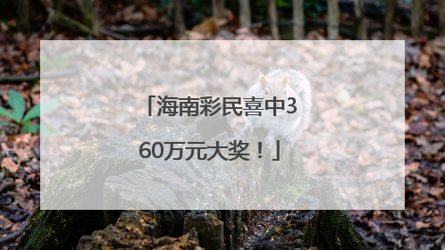 海南彩民喜中360万元大奖！