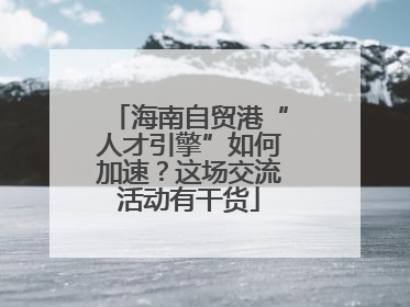 海南自贸港“人才引擎”如何加速？这场交流活动有干货