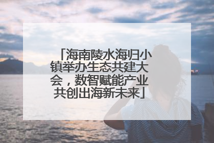 海南陵水海归小镇举办生态共建大会，数智赋能产业共创出海新未来