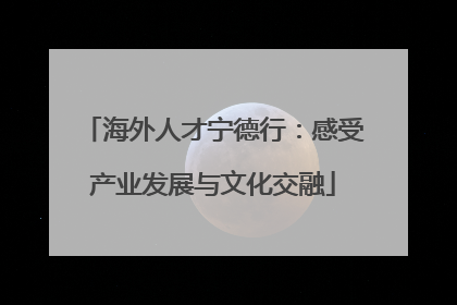 海外人才宁德行：感受产业发展与文化交融