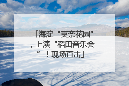 海淀“莫奈花园”，上演“稻田音乐会”！现场直击