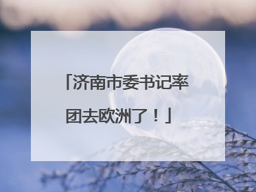 济南市委书记率团去欧洲了！