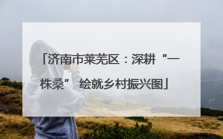 济南市莱芜区：深耕“一株桑” 绘就乡村振兴图