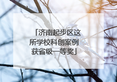济南起步区这所学校科创案例获省级一等奖