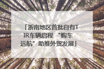 浙南地区首批自有TIR车辆启程 “购车远航”助推外贸发展