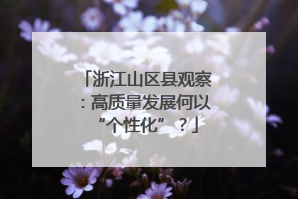 浙江山区县观察：高质量发展何以“个性化”？