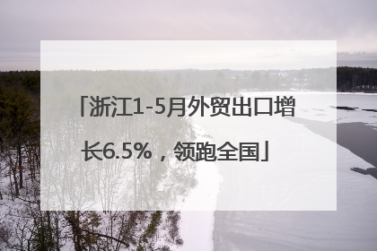 浙江1-5月外贸出口增长6.5%，领跑全国