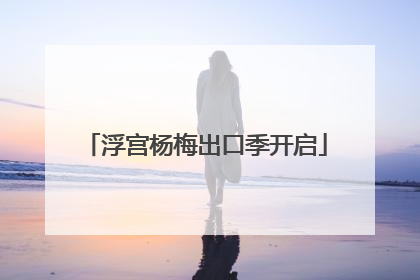 浮宫杨梅出口季开启