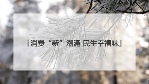 消费“新”潮涌 民生幸福味