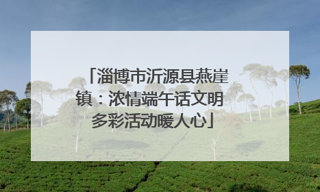 淄博市沂源县燕崖镇：浓情端午话文明 多彩活动暖人心