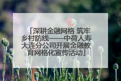深耕金融网格 筑牢乡村防线——中荷人寿大连分公司开展金融教育网格化宣传活动