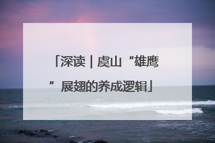 深读｜虞山“雄鹰”展翅的养成逻辑