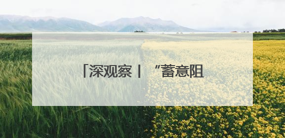 深观察丨“蓄意阻碍平民获得人道援助同样构成战争罪”