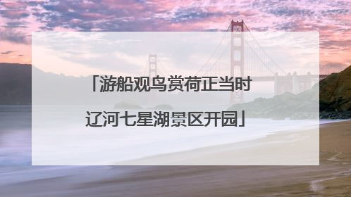 游船观鸟赏荷正当时 辽河七星湖景区开园