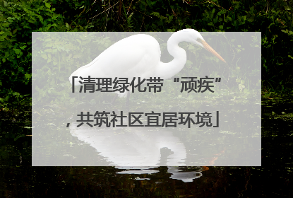 清理绿化带“顽疾”，共筑社区宜居环境