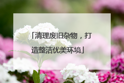 清理废旧杂物，打造整洁优美环境