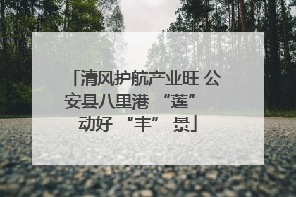 清风护航产业旺 公安县八里港 “莲” 动好 “丰” 景