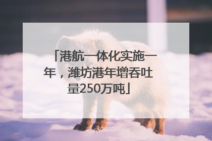 港航一体化实施一年，潍坊港年增吞吐量250万吨