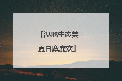 湿地生态美 夏日麋鹿欢