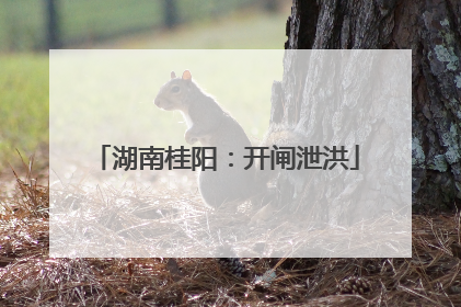 湖南桂阳：开闸泄洪