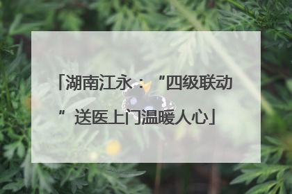 湖南江永：“四级联动”送医上门温暖人心