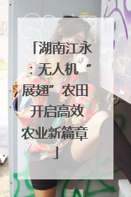 湖南江永：无人机“展翅”农田 开启高效农业新篇章