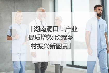 湖南洞口：产业提质增效 绘就乡村振兴新图景
