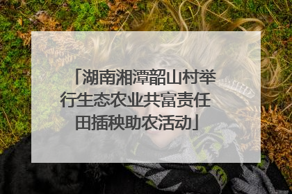 湖南湘潭韶山村举行生态农业共富责任田插秧助农活动