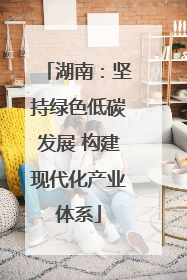 湖南：坚持绿色低碳发展 构建现代化产业体系