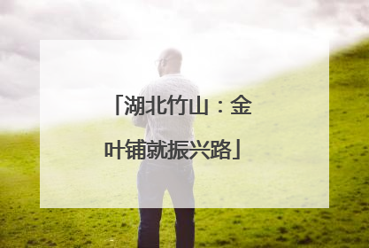 湖北竹山：金叶铺就振兴路