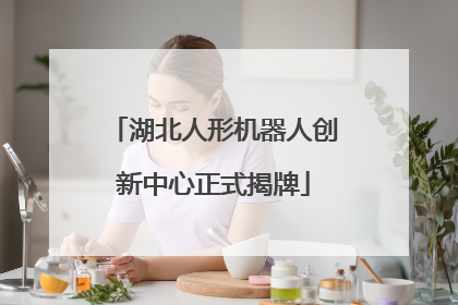 湖北人形机器人创新中心正式揭牌