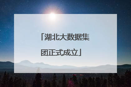 湖北大数据集团正式成立