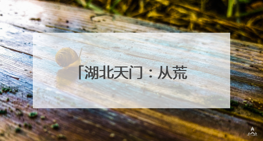 湖北天门：从荒郊田野到城市“天花板” 内陆最大侨乡换“新颜”