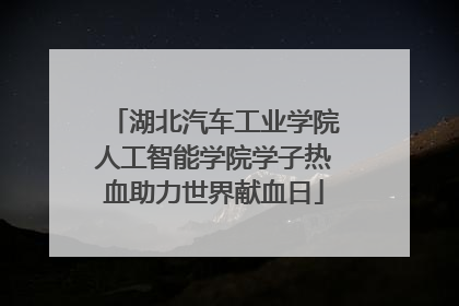 湖北汽车工业学院人工智能学院学子热血助力世界献血日