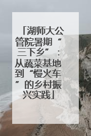 湖师大公管院暑期“三下乡”：从蔬菜基地到“慢火车”的乡村振兴实践
