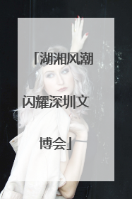 湖湘风潮闪耀深圳文博会
