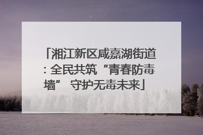 湘江新区咸嘉湖街道：全民共筑“青春防毒墙” 守护无毒未来