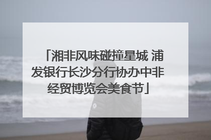 湘非风味碰撞星城 浦发银行长沙分行协办中非经贸博览会美食节