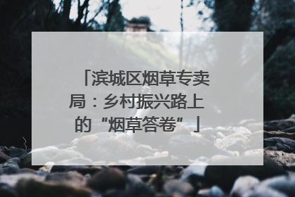 滨城区烟草专卖局：乡村振兴路上的“烟草答卷”