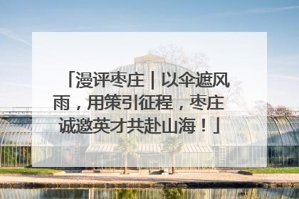 漫评枣庄｜以伞遮风雨，用策引征程，枣庄诚邀英才共赴山海！