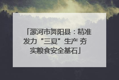 漯河市舞阳县：精准发力“三夏”生产 夯实粮食安全基石