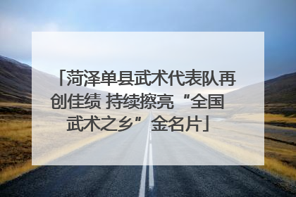 菏泽单县武术代表队再创佳绩 持续擦亮“全国武术之乡”金名片