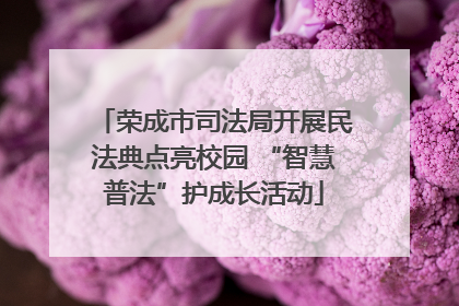 荣成市司法局开展民法典点亮校园 “智慧普法”护成长活动