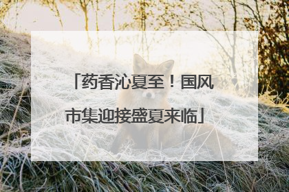 药香沁夏至！国风市集迎接盛夏来临