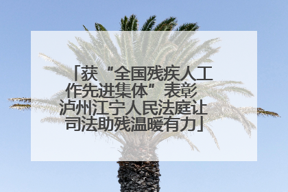 获“全国残疾人工作先进集体”表彰 泸州江宁人民法庭让司法助残温暖有力