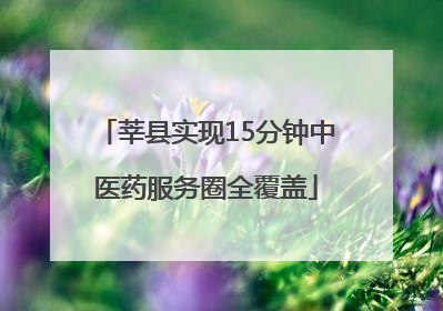 莘县实现15分钟中医药服务圈全覆盖