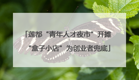 莲都“青年人才夜市”开摊 “盒子小店”为创业者兜底