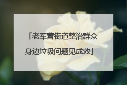 老军营街道整治群众身边垃圾问题见成效