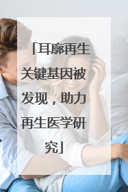 耳廓再生关键基因被发现，助力再生医学研究